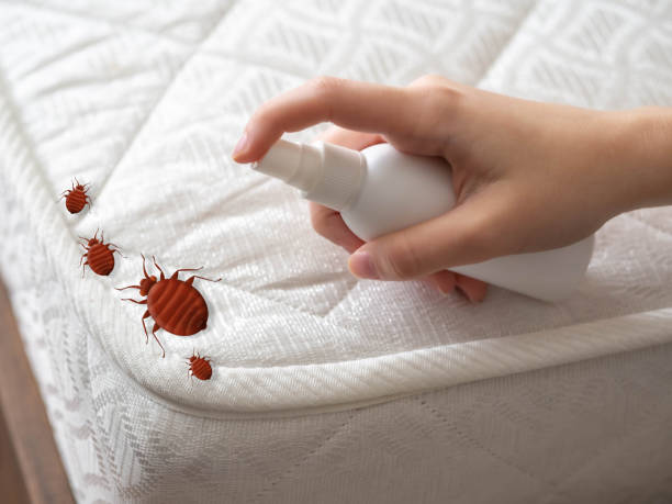 Best Residential Pest Control  in North Madison, OH